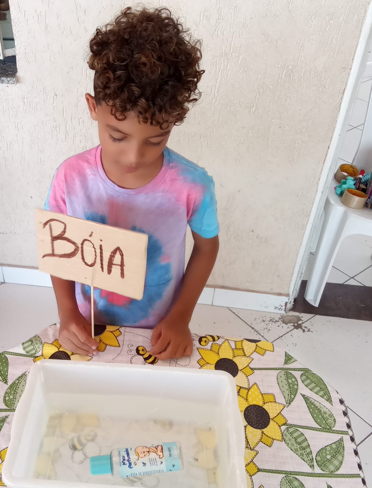 quintal da alegria2026-03-20 às 12.09.34 3